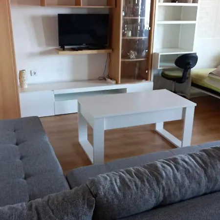 Leko Mirjana Apartment *